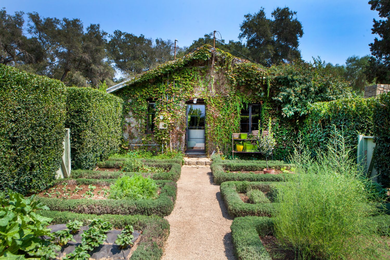 Ojai Wines Wedding Estates