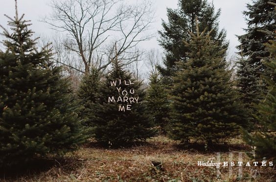 Christmas Proposal 