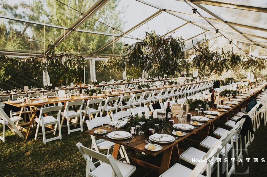 Eco-Friendly Wedding