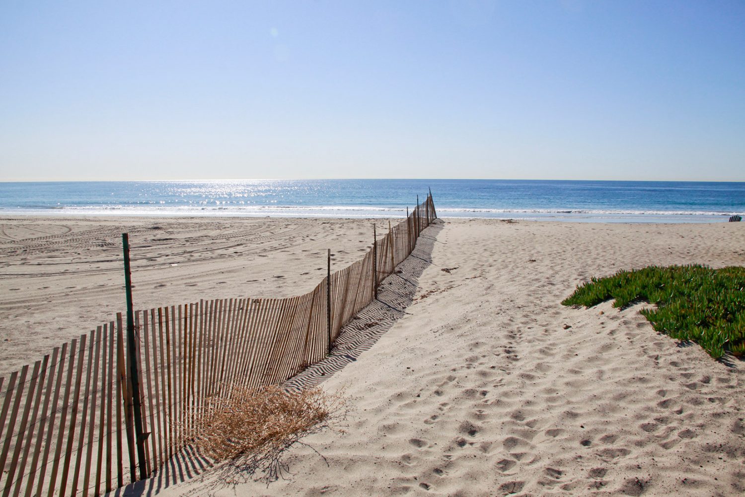 The Sand Dollar Wedding Estates